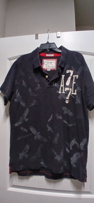 American Eagle Outfitters Vintage Fit Men's Polo Shirt