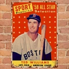 Vintage Ted Williams Baseball Tin Metal Signs- Retro Tin Poster Frame, 8x12 Inc
