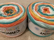 Lot of 2 Caron Skinny Cakes Yarn - SPUMONI - same dye lot!