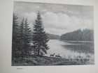 Bild 19 von 24