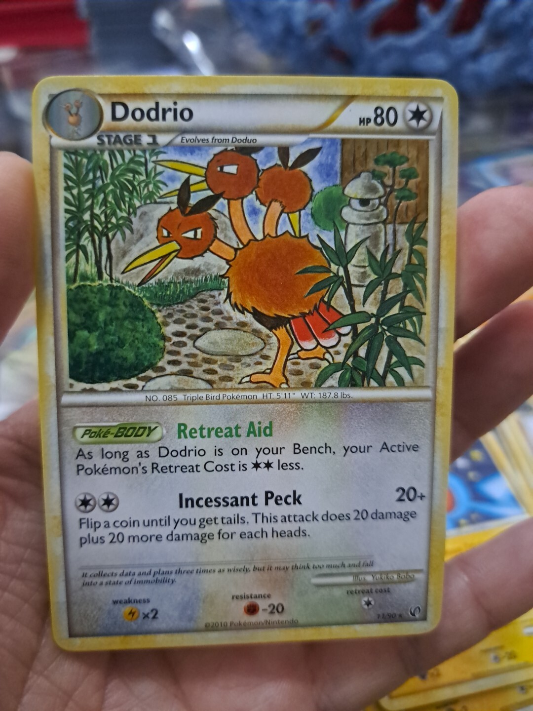 Pokémon TCG Dodrio Undaunted 11/90 Regular Rare