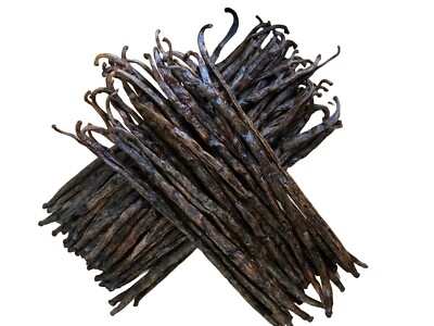 ONE Pound Madagascar Grade B Extract Grade Bourbon Vanilla Beans [DRY/BRITTLE]