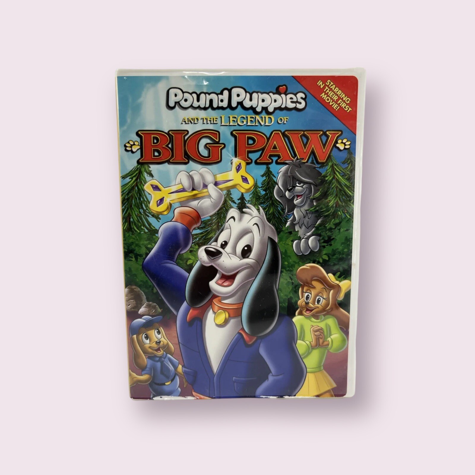 Pound Puppies And The Legend Of Big Paw (DVD, 2006, Full Screen) 1988