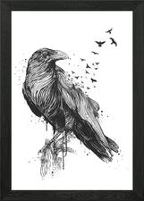 Born to be free (bw) Framed Wall Art Poster Canvas Print Picture