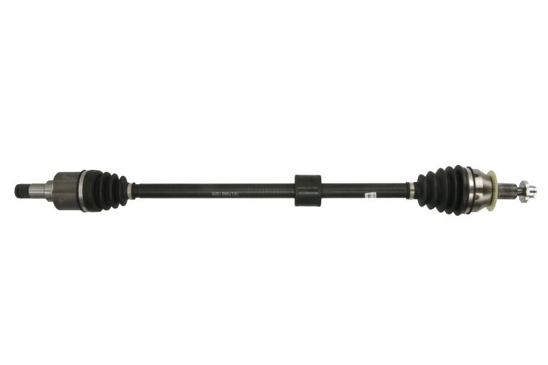 Picture 1