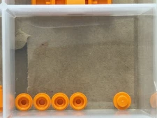 LEGO Parts - Orange Plate, Round 1 x 1 - No 4073 - QTY 5