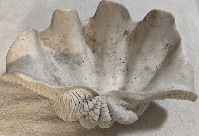Plaster Clam Shell Centerpiece Display Tray