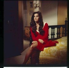 Edy Williams Glamour Pose in red dress Original 2.25 x 2.25 Transparency