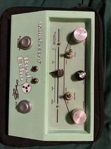 Danelectro Reel Echo | eBay