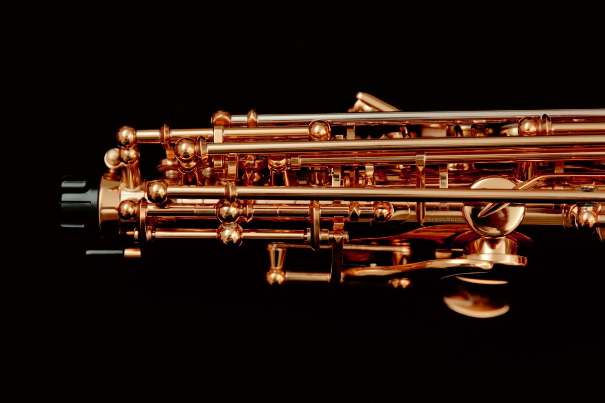 New 2025 Yanagisawa S-WO20 (SWO20) Elite Professional Bronze New 2025 Yanagisawa S-WO20 (SWO20) Elite Professional Bronze