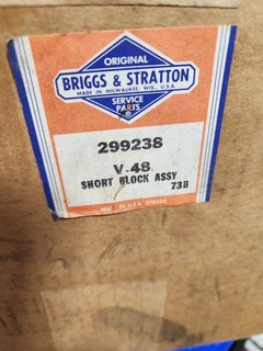 Briggs & Stratton 299238 Bloque Corto Vintage Nuevo de Lote Antiguo Fabricante Original ¡Nuevo! Eje vertical.