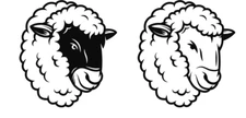 2 Pack Sheep Vinyl Decals Car Truck Tablet Windows Tumblers Laptop Notebook