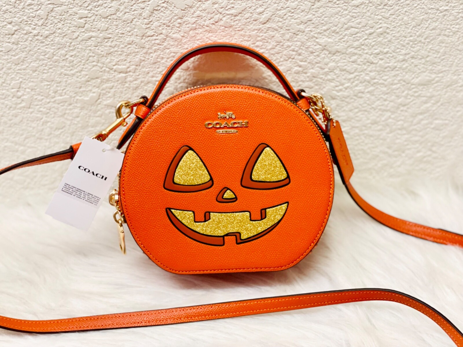 NWT Coach Canteen Crossbody Bag Halloween Pumpkin CW468 2024