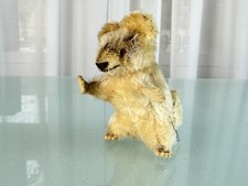 Steiff Tier Sammler Stofftier Waschb&auml;r 10 cm ohne Knopf ohne Fahne.