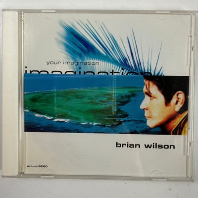 Brian Wilson – Your Imagination CD Single 1998 Promo Pop Rock