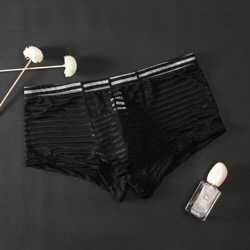 Hot 2Pc Mens Mesh Striped Boxer Briefs Underpants Breathable See Through Soft - Picture 11 of 17