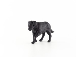 miniature black labrador