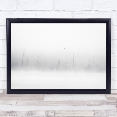 Hellweißer schwarz-weißer Vogel allein Landschaft Wandkunstdruck