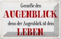 Blechschild 20X30 Cm GenießE Den Augenblick Leben Dekoration Spruch Zitat Deko G