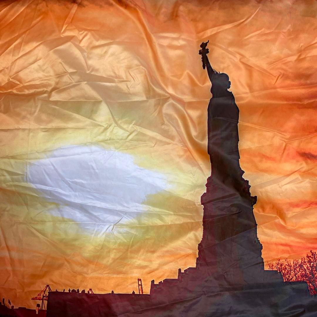 Schott Reversible Down Jacket Liberty Goddess Red… - image 9