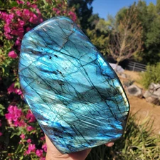 Blue Green Labradorite Standing Freeform | A Grade | 1550 grams l 3lbs 7oz