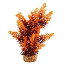 RA UNDERWATER TREASURES Hygro Tree - Sunset - 8" 2 Pack 