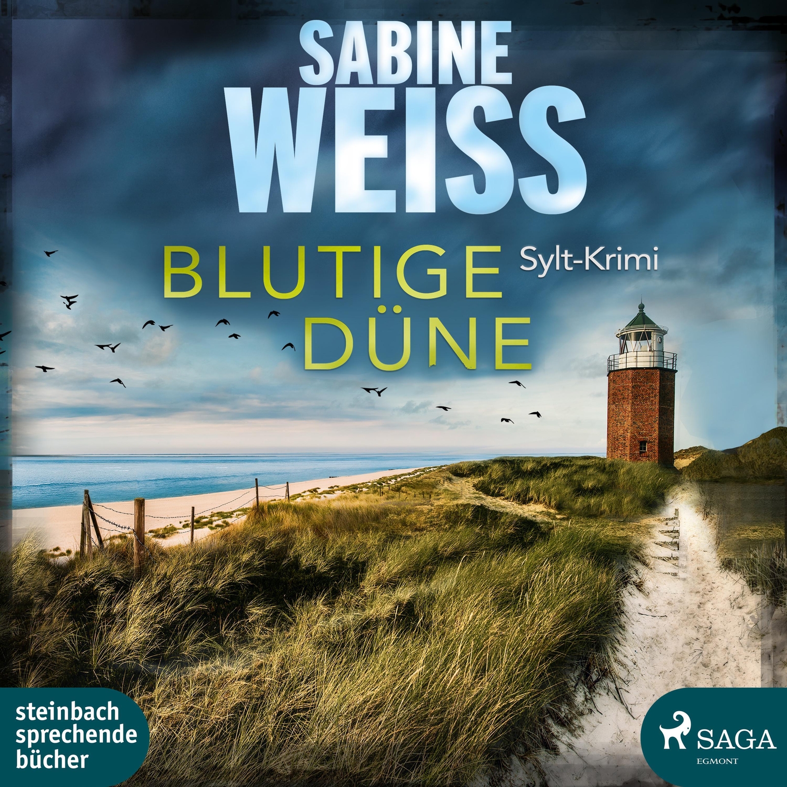 Thumbnail - Blutige Düne | Sabine Weiß | Mp3 | 2 | Deutsch | 2020 | Steinbach