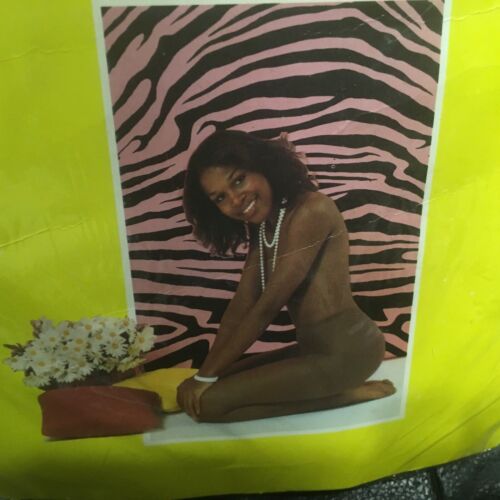 Vintage Brown Sugar nude nylon pantyhose w/ model off black size tall - Picture 2 of 3