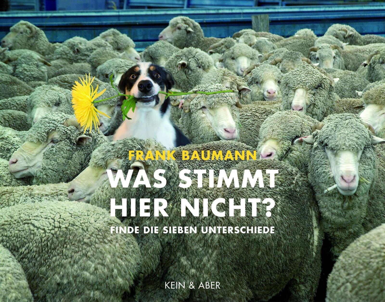 Thumbnail - Was Stimmt Hier Nicht? Finde Die Sieben Unterschiede Frank Baumann