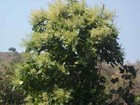 Bild 292 von 336