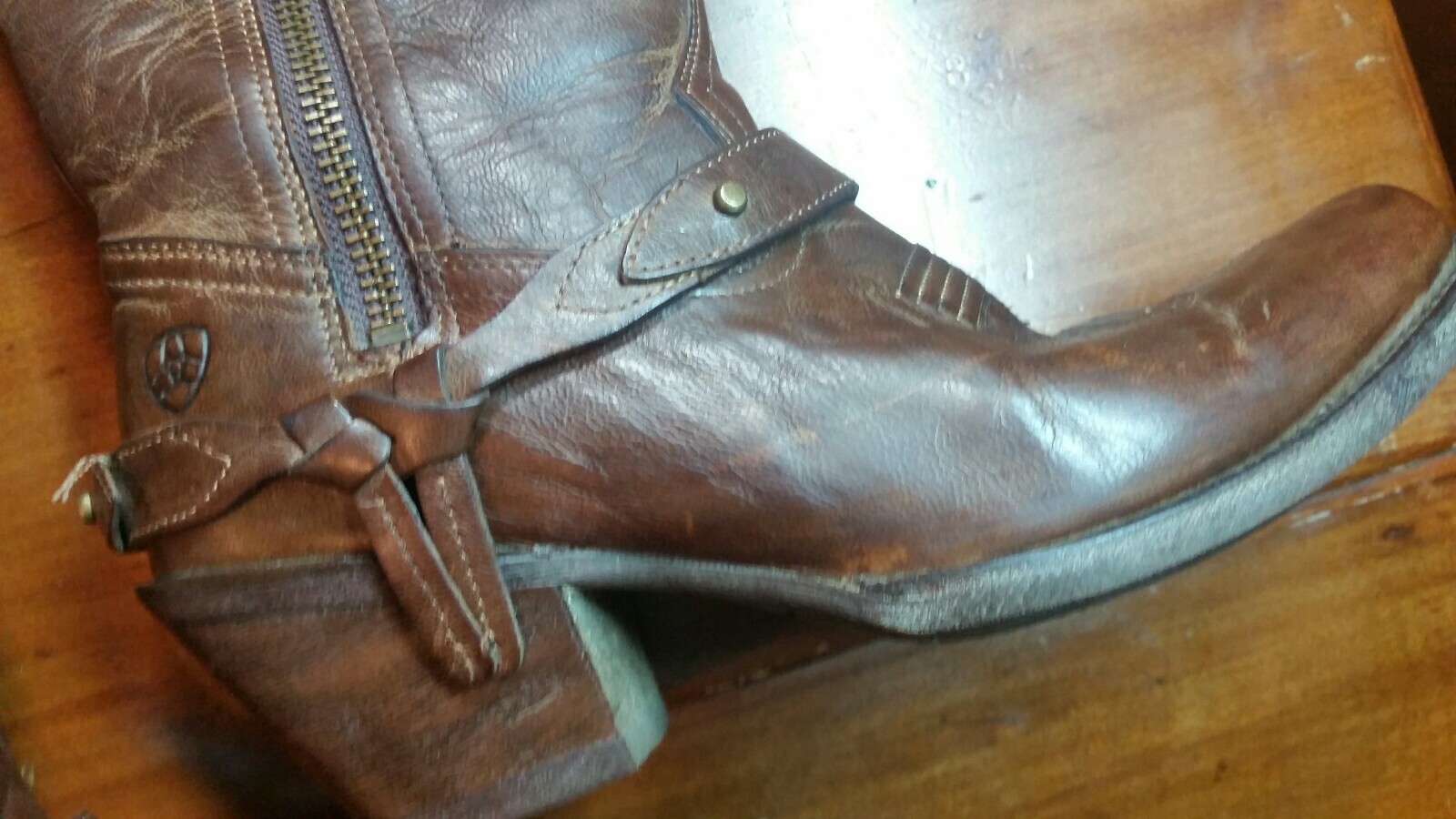 ariat sahara tall boots