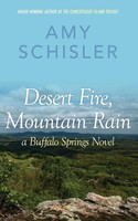 Amy Schisler | Desert Fire, Mountain Rain | Taschenbuch | Englisch (2020)
