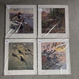 Set of 4 Vintage DuPont Game Bird Lithographs – Lynn Bogue Hunt