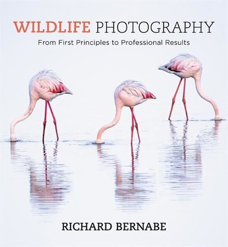 Wildlife Photography Like New Book, Richard Bernabe, Paperback