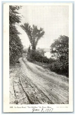 1907 Le Seuer Road The Old Elm St. Peter Minnesota MN Dirt Road Antique Postcard