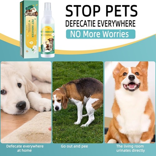 Dog Potty Training Spray,Potty Here Spray for Dogs for Indoors & Outdoor,Trai... - Picture 8 of 8