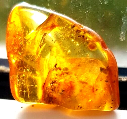 Essential Baltic Amber Oil