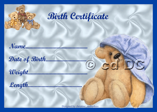 BLUE TEDDY BIRTH CERTIFICATE/CERTIFICATES 4 REBORN FAKE BABY/TEDDY approx 7"x 5" - Picture 1 of 1