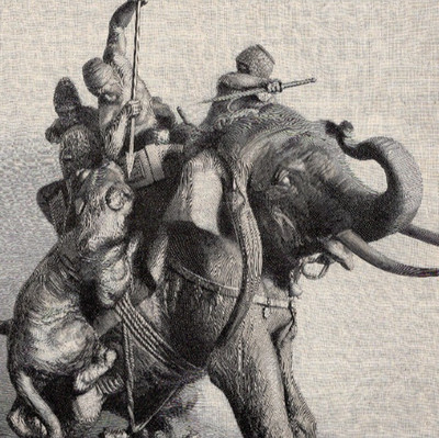 Antoine-Louis Barye  Tiger Hunt  Elephant Sculpture 1883 Engraving