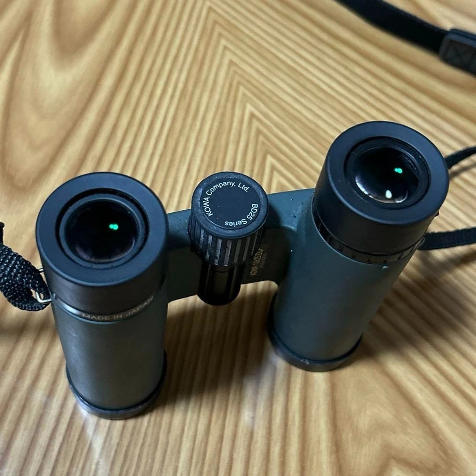 Binoculares compactos Kowa 10×25 BD25-10 - Hechos en Japón, llenos de nitrógeno Foto 4 de 4