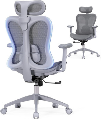 Ergonomic Gray Gaming Chair with Lumbar Support & Adjustable Features