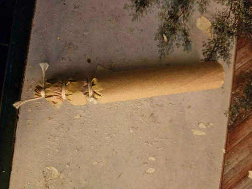 100 Campaigner Reenacting 69 Buck and Ball Blank Cartridges