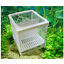 miniature 3  - Neuf Réservoir D&#039;Élevage le Récipient Aufzuchtbehälter Aquarium Mini- Poissons