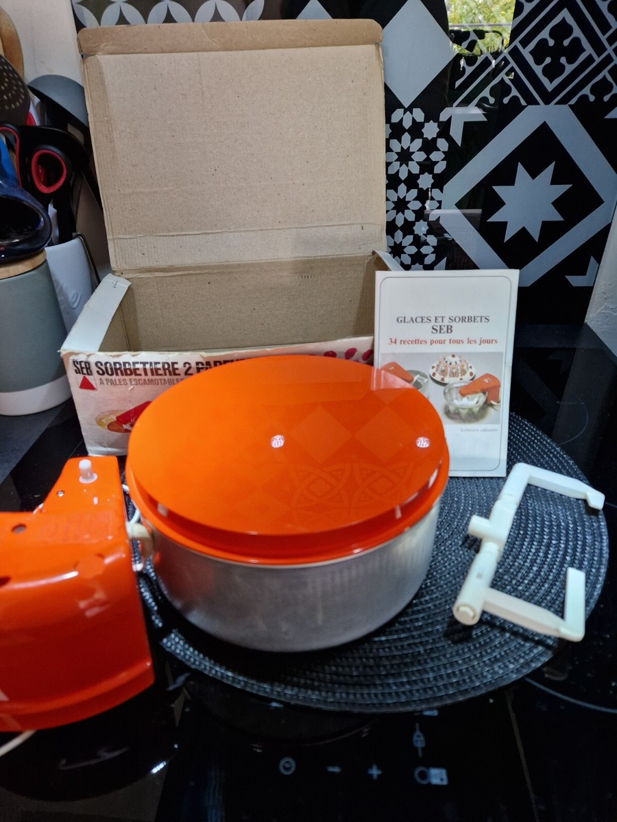 SORBETIERE 2 PARFUMS SEB EN BOITE AVEC LIVRE RECETTES BON ETAT