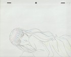 The Twelve Kingdoms Juuni Kokki Genga Douga Original Sketches Pierrot - Youku — photo 9
