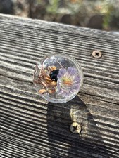 handmade art glass marble  Deep Roots   By Sara Sally LaGrand