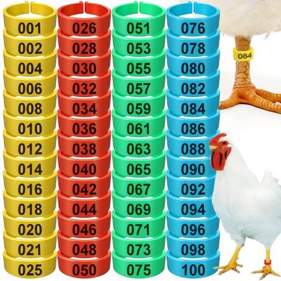 200Pcs Chicken Leg Bands,Multiple Color Poultry Identification Leg ...