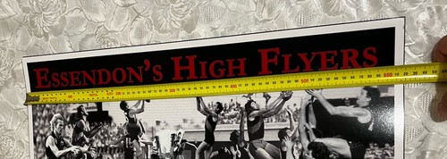 Essendon High Flyers Photo Print Hand Signed Terry Daniher, Van Der Har, Madden - Picture 10 of 24