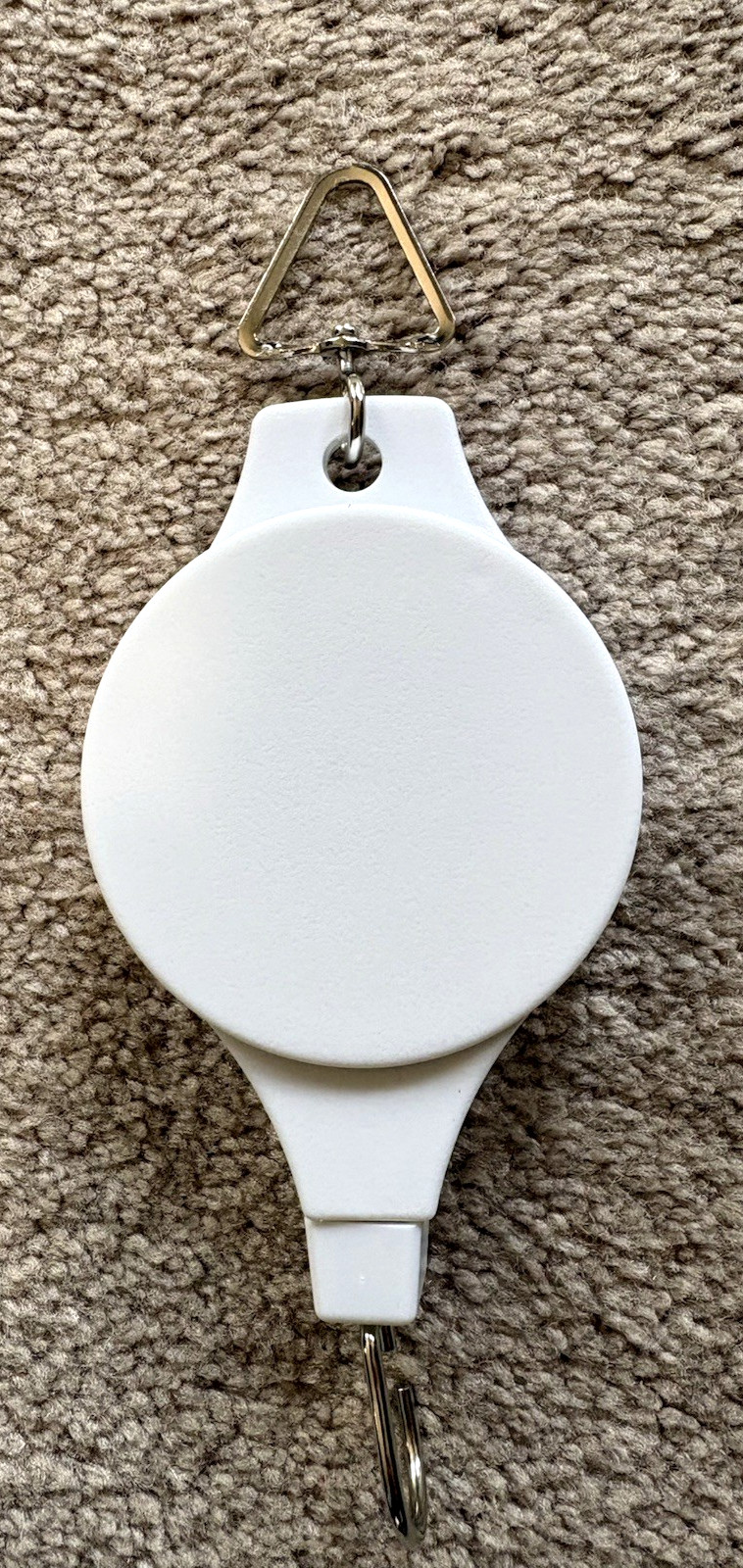 Picture 4
