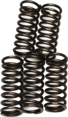 EBC CSK66 Clutch Springs CSK66